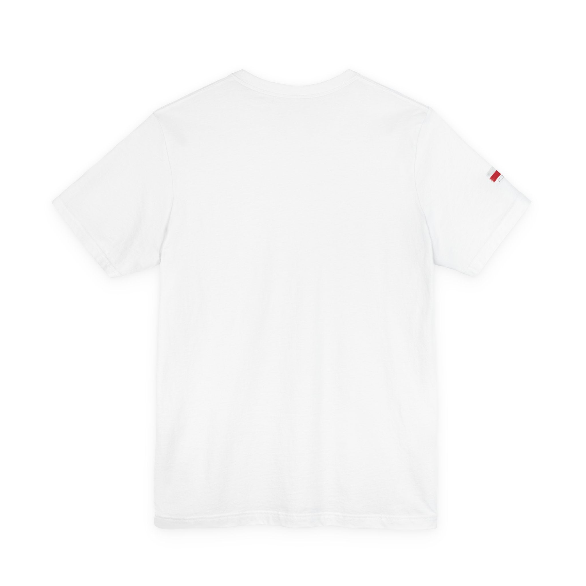 Poland Flag Brushstroke T-Shirt — Poland My Country Graphic Tee